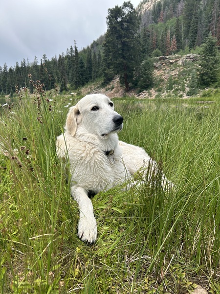 LeRoy