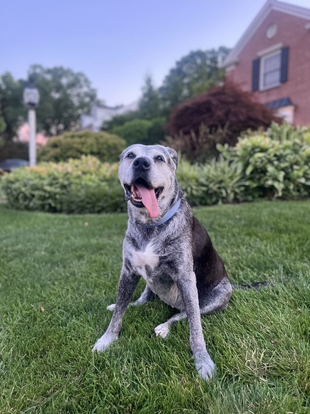 Molly