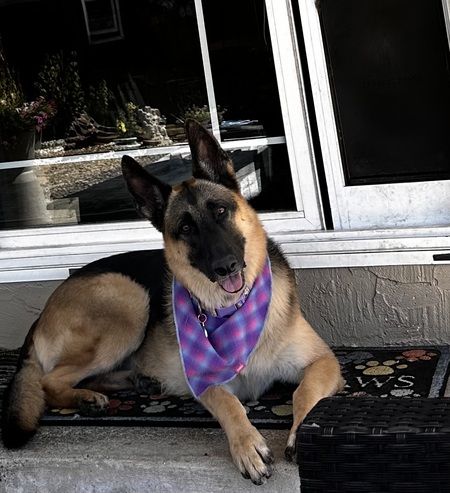 Sadie