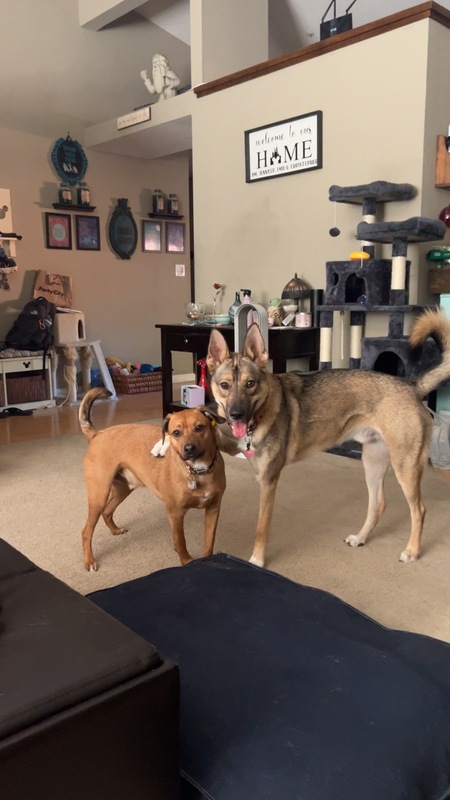 Toby and Dexter 
