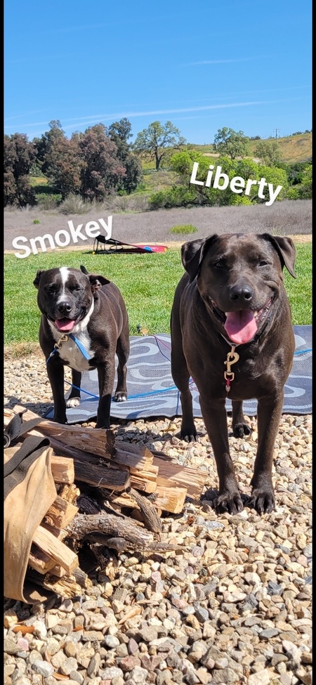 Smokey & Liberty