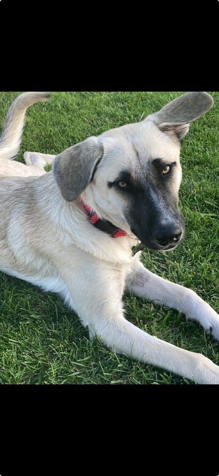 Keiki