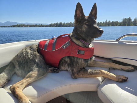 Kaia