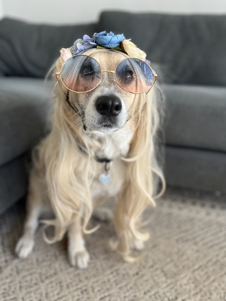 Cali 