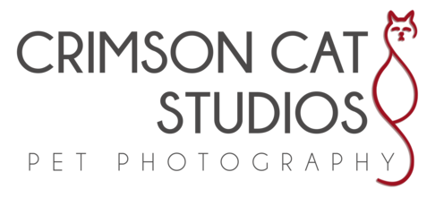 https://www.crimsoncatstudios.com/