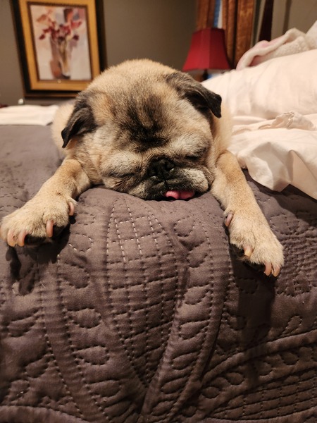 Chloe