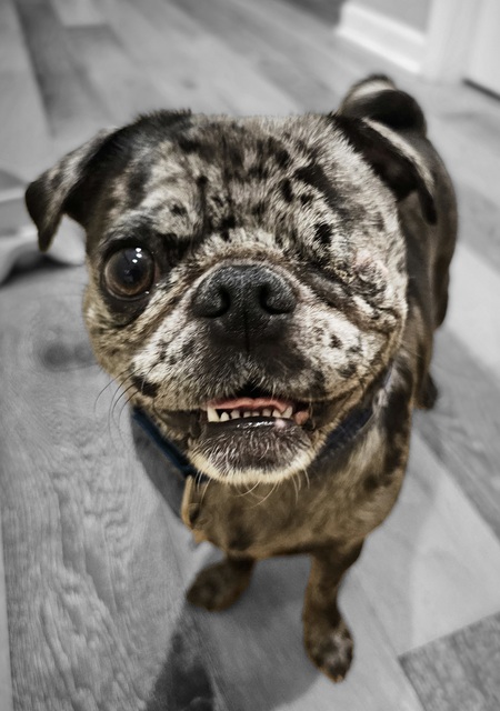 Oakley