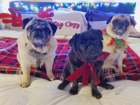 Charlie, Holly and Mr. Smoosh