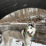 Entry image for Jade