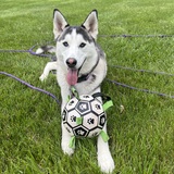 Entry image for Jade