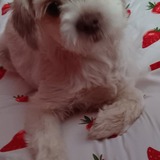 Entry image for Bourbon 