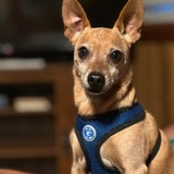 Entry image for Kirbie 