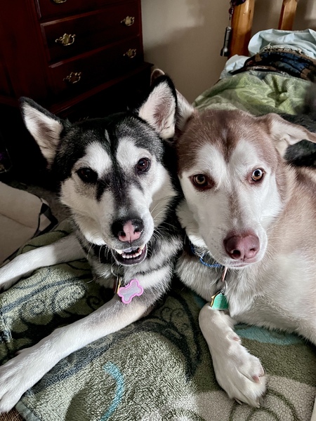 Ashley and Buddy