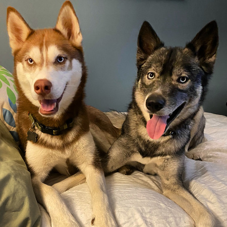 Tango and Cash