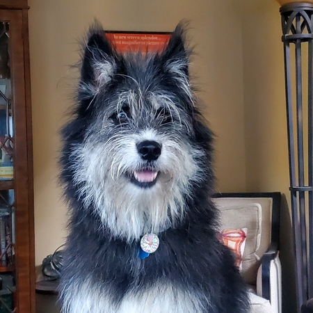 Maggie