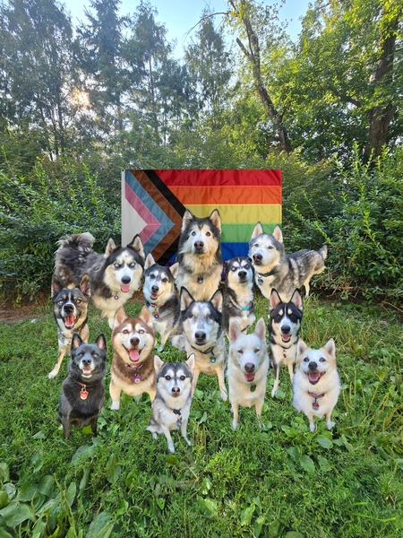 Nuka, Aleu, Tucker, Opal, Ranga, Kiki, Oliber, Komi, Kiro, Wren, Bojji. Fosters: Vinny & Klondike