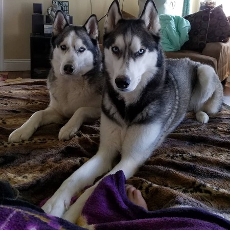 ATTICUS & MARTINI