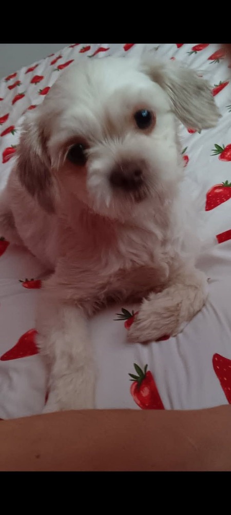 Entry image for Bourbon . Clicking this image will show a larger photo