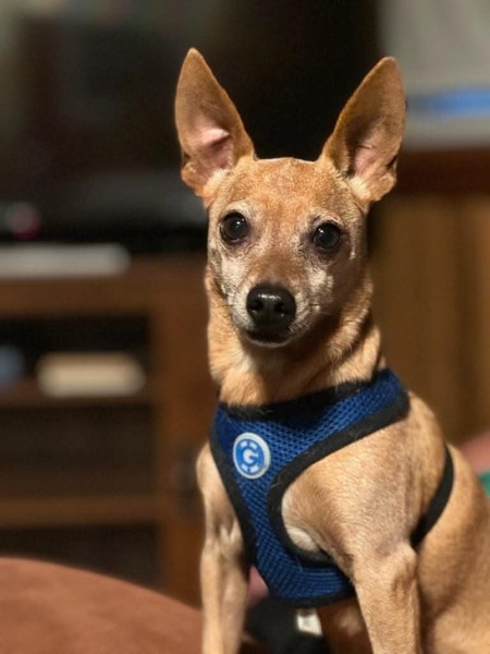 Entry image for Kirbie . Clicking this image will show a larger photo