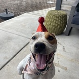 Entry image for Beanie