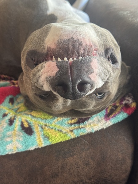 Lilah