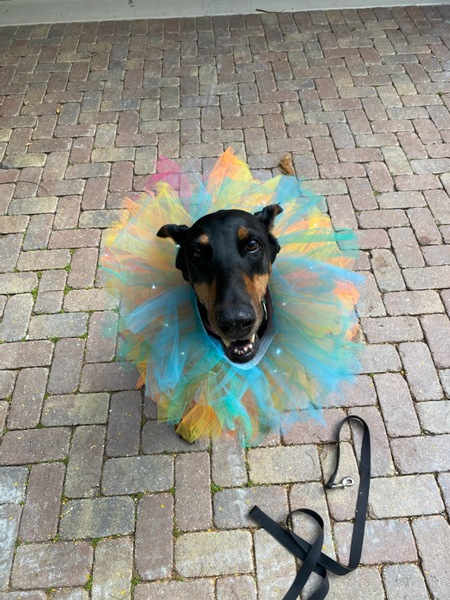 Mia