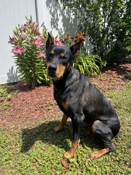 Duncan