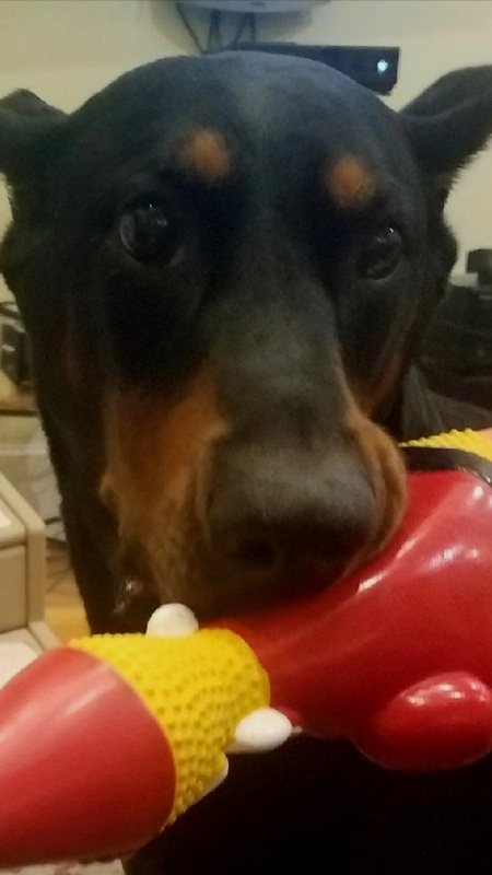 Loki