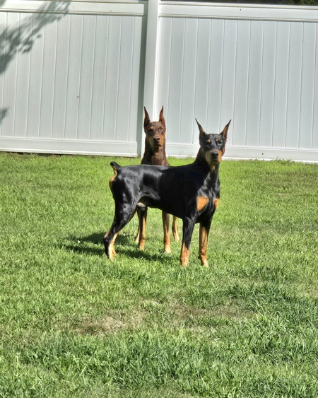 Rory and Rydr