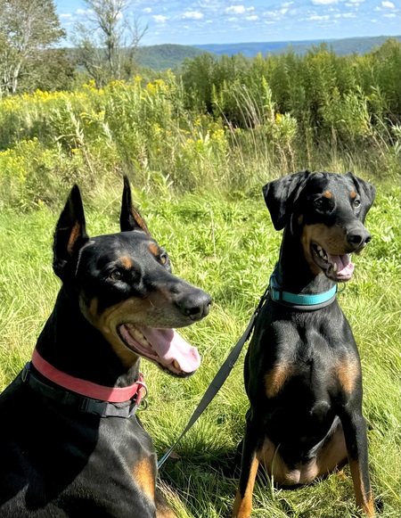 Ari and Ava