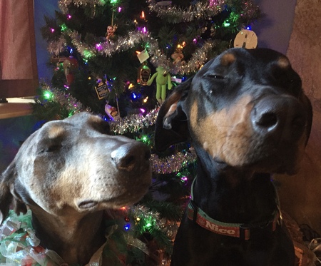 Farrah and Max