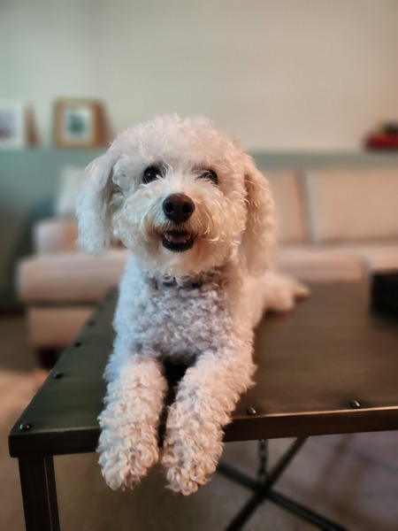 Coco