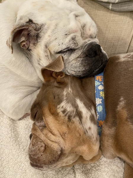 Lola and Mocha