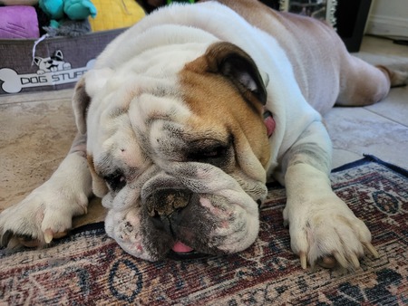Oscar