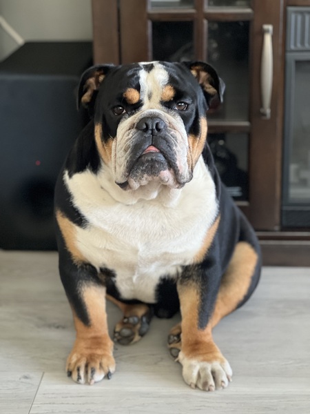 Titus