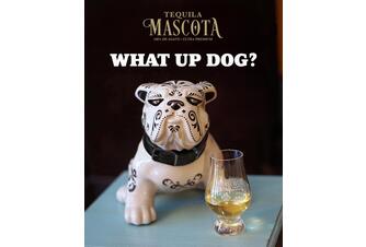 Mascota