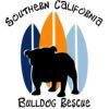 So Cal Bulldog Rescue