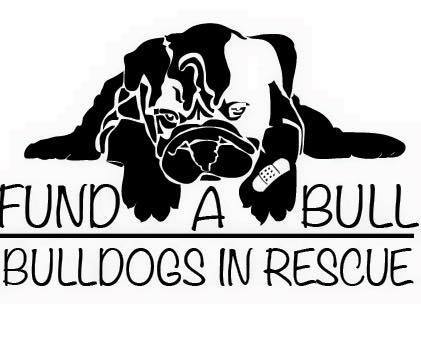 FundaBulldog