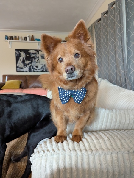 Copper