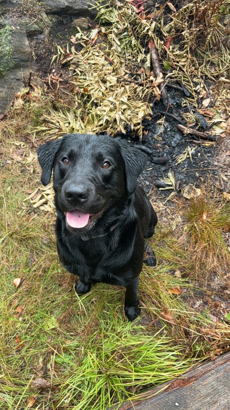 Entry image for Jack. Clicking this image will show a larger photo