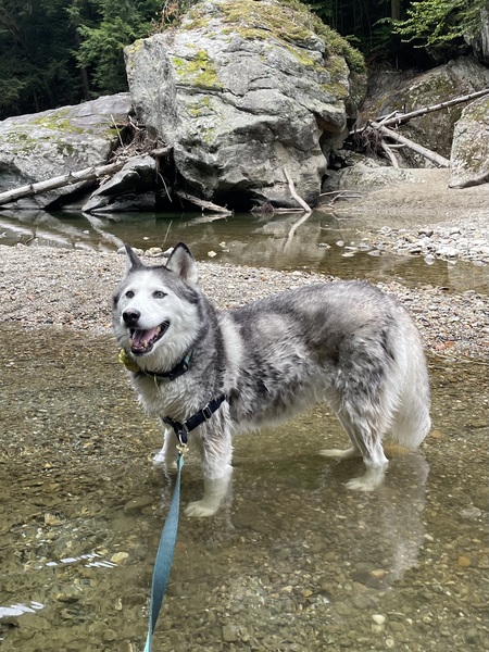 Luna