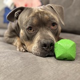 Entry image for Sonny