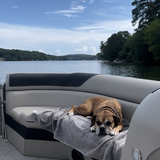 Entry image for Fancy (Prancer)