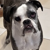 Entry image for Neptune