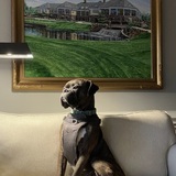 Entry image for Russell