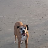 Entry image for Ruthie