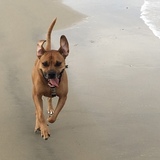 Entry image for Trevor