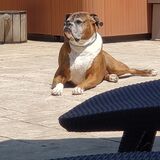 Entry image for Spencer