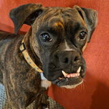 Entry image for Zuri