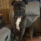 Entry image for Jelly bean